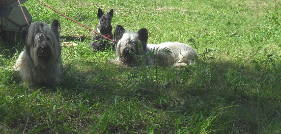 nach dem Spaziergang