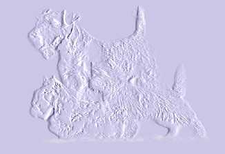 relief