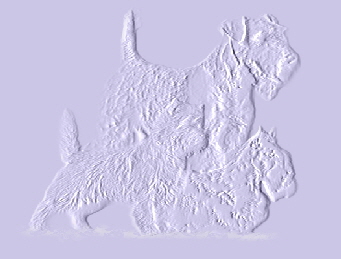relief