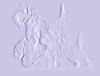 relief